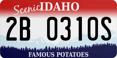 ID license plate 2B0310S