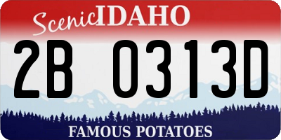 ID license plate 2B0313D