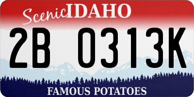 ID license plate 2B0313K