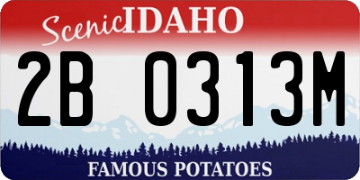 ID license plate 2B0313M