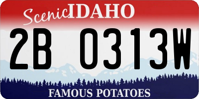 ID license plate 2B0313W