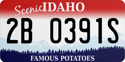ID license plate 2B0391S