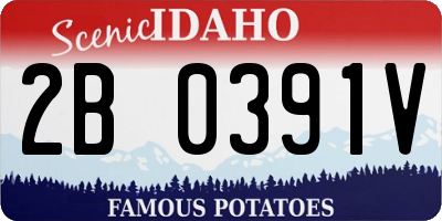 ID license plate 2B0391V