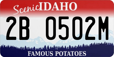 ID license plate 2B0502M