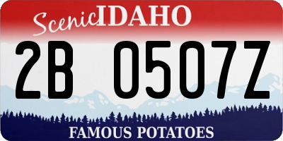 ID license plate 2B0507Z