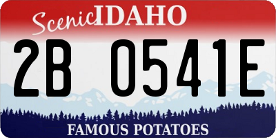 ID license plate 2B0541E