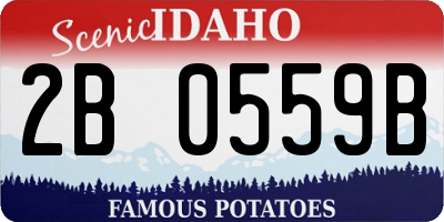 ID license plate 2B0559B