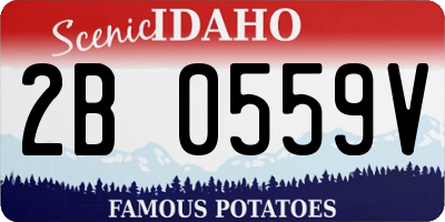 ID license plate 2B0559V