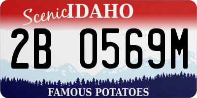 ID license plate 2B0569M