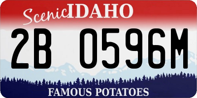 ID license plate 2B0596M