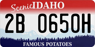 ID license plate 2B0650H