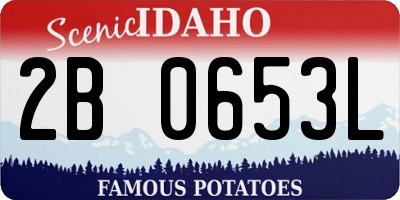 ID license plate 2B0653L
