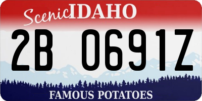ID license plate 2B0691Z