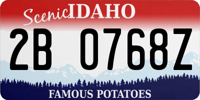 ID license plate 2B0768Z