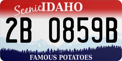 ID license plate 2B0859B