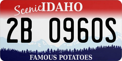 ID license plate 2B0960S