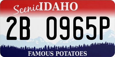 ID license plate 2B0965P