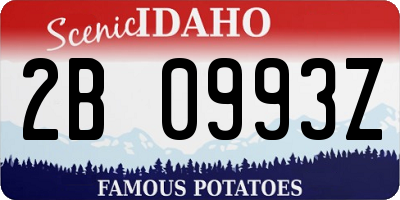 ID license plate 2B0993Z