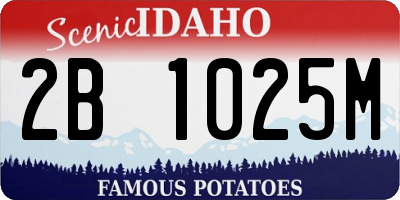 ID license plate 2B1025M