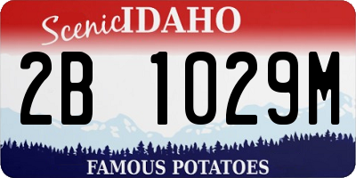ID license plate 2B1029M
