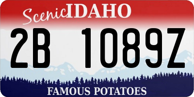 ID license plate 2B1089Z