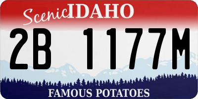 ID license plate 2B1177M