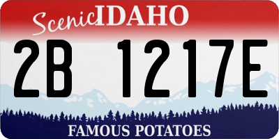 ID license plate 2B1217E
