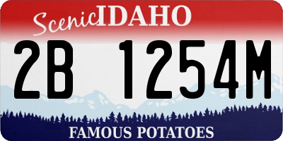 ID license plate 2B1254M