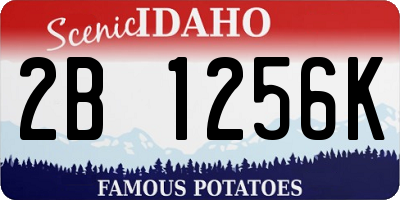 ID license plate 2B1256K