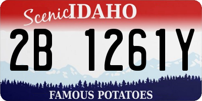 ID license plate 2B1261Y