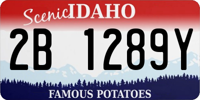 ID license plate 2B1289Y