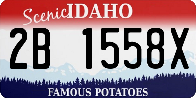 ID license plate 2B1558X
