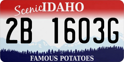 ID license plate 2B1603G