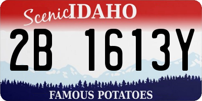 ID license plate 2B1613Y