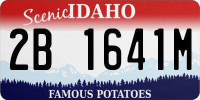ID license plate 2B1641M