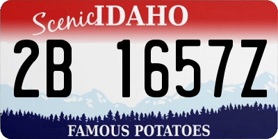 ID license plate 2B1657Z