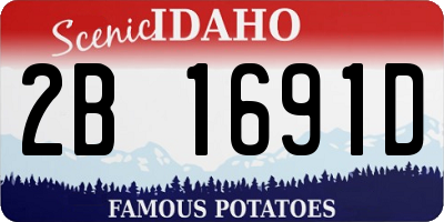 ID license plate 2B1691D
