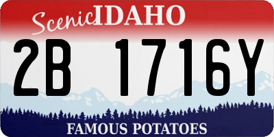 ID license plate 2B1716Y