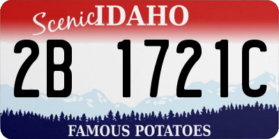 ID license plate 2B1721C