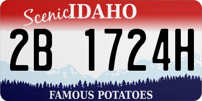 ID license plate 2B1724H