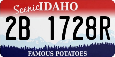 ID license plate 2B1728R