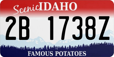 ID license plate 2B1738Z