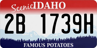 ID license plate 2B1739H