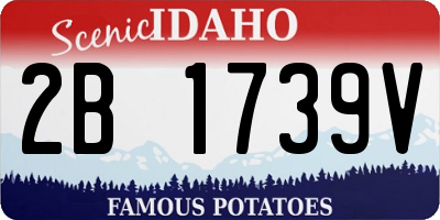 ID license plate 2B1739V