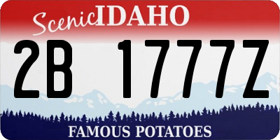 ID license plate 2B1777Z