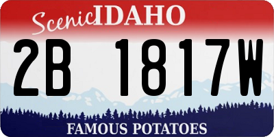 ID license plate 2B1817W