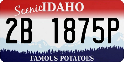 ID license plate 2B1875P