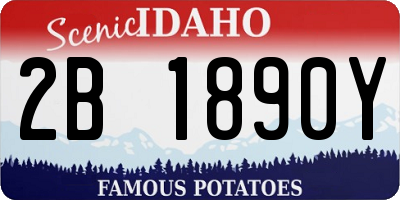 ID license plate 2B1890Y