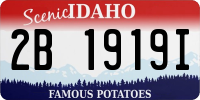 ID license plate 2B1919I