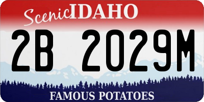 ID license plate 2B2029M